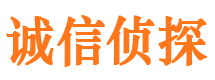 印江市调查公司